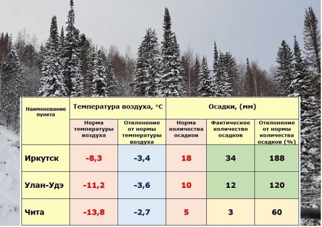 Где в тайге самые низкие температуры зимой. Средняя температура января. Средняя температура зимой в Сибири. Осадки и температура. Норма осадков.