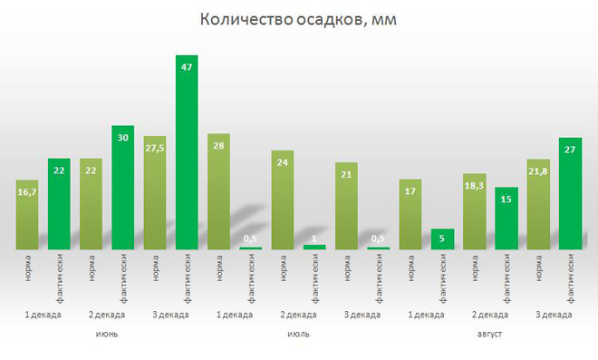 Карта осадков воронеж