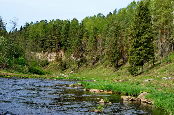Река держа тверская область на карте