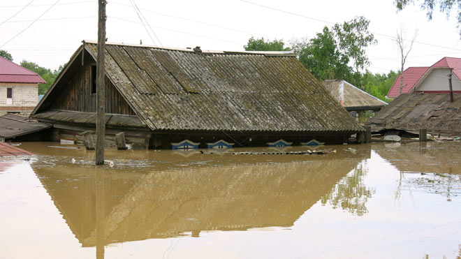 Алтайский край село кокши карта