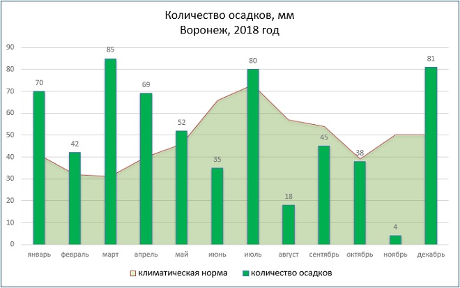 Гисметео карта осадков воронеж