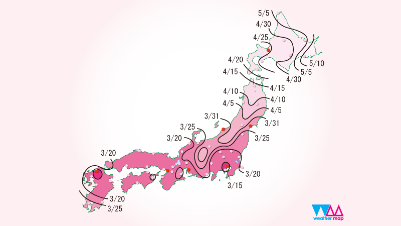 Карта цветения сакуры в японии