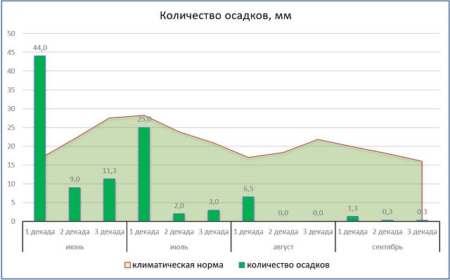 Осадки воронеж карта