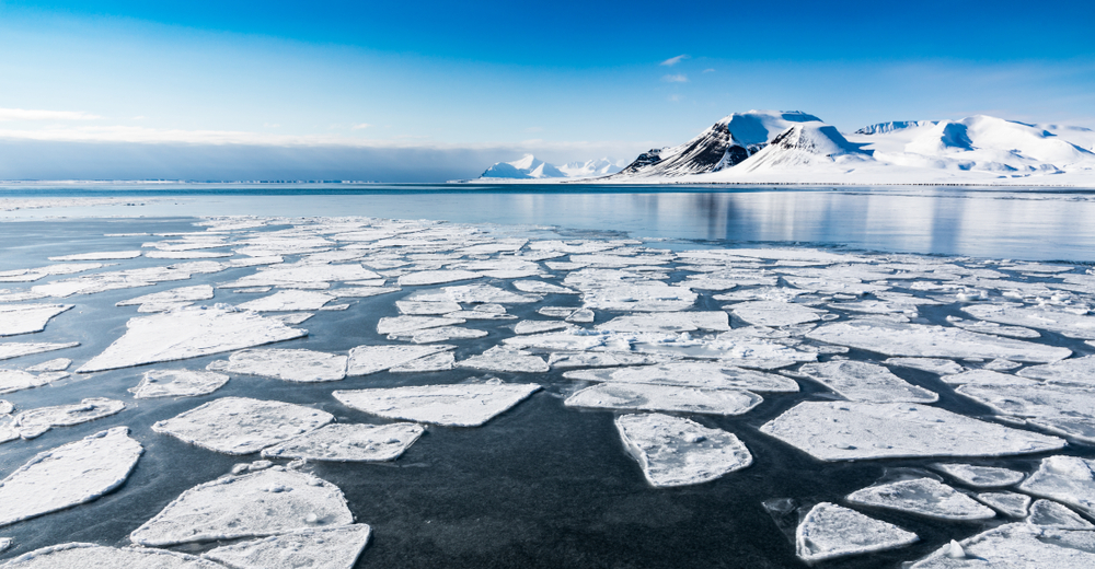 green planet арктический