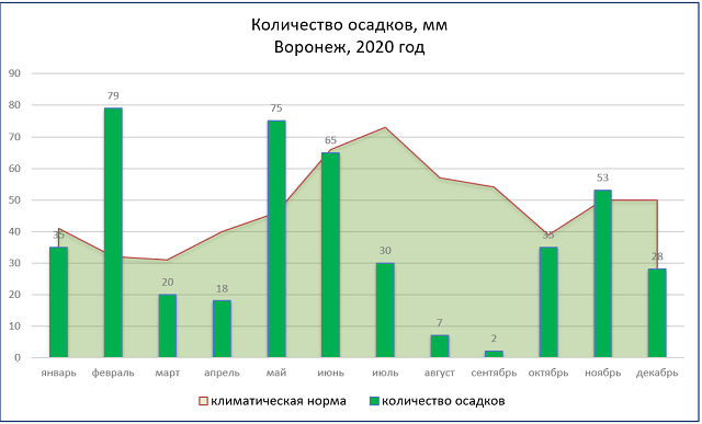 В какие месяца преобладают осадки. Климат Воронежа. Диаграмма количества осадков. Диаграмма осадков за год. График количества осадков.