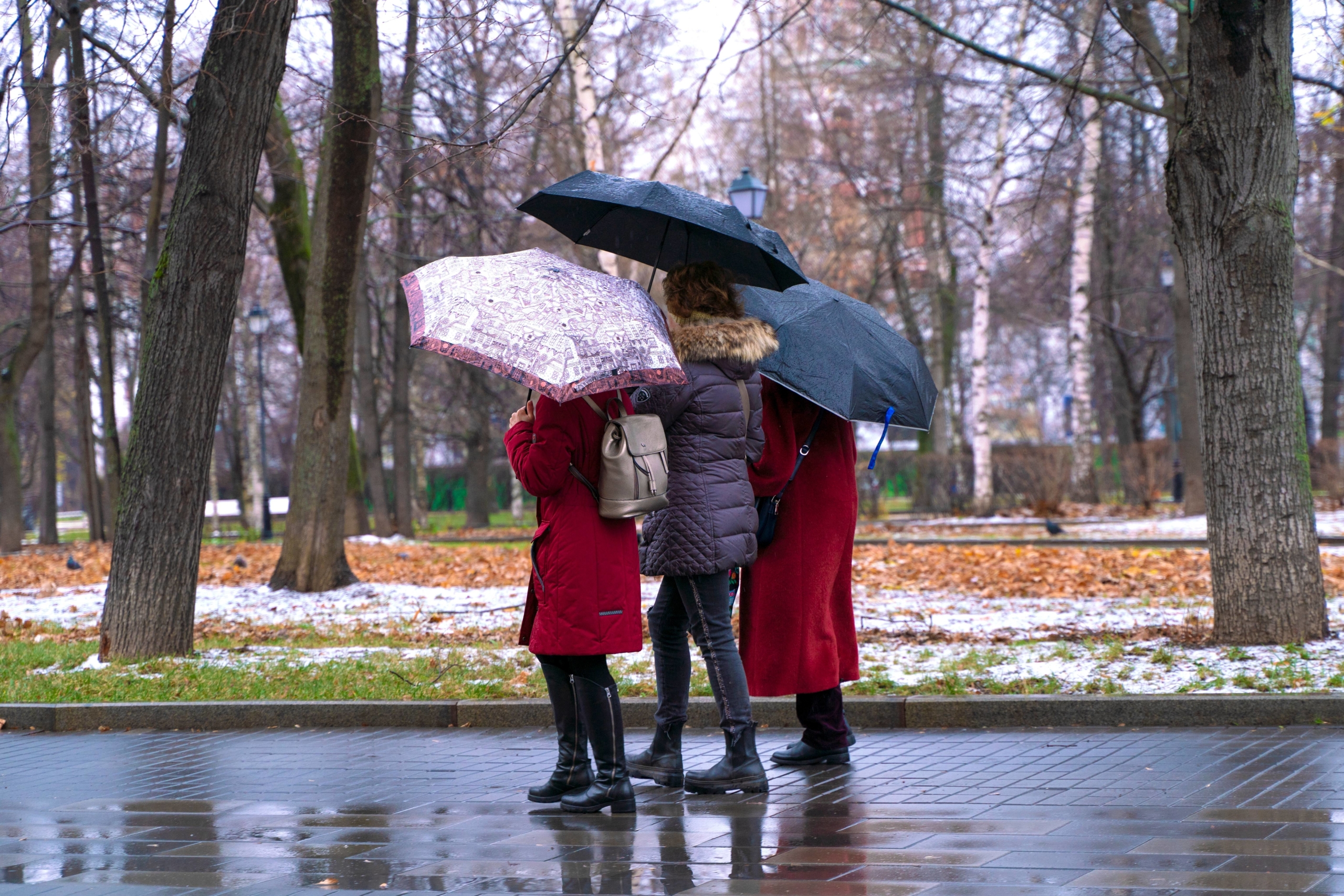 Что происходит с погодой в мае. Lexus 2021 Rainy weather.