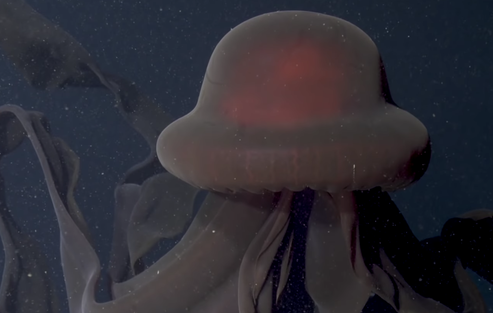 как убить медузу дота 2 фото 87
