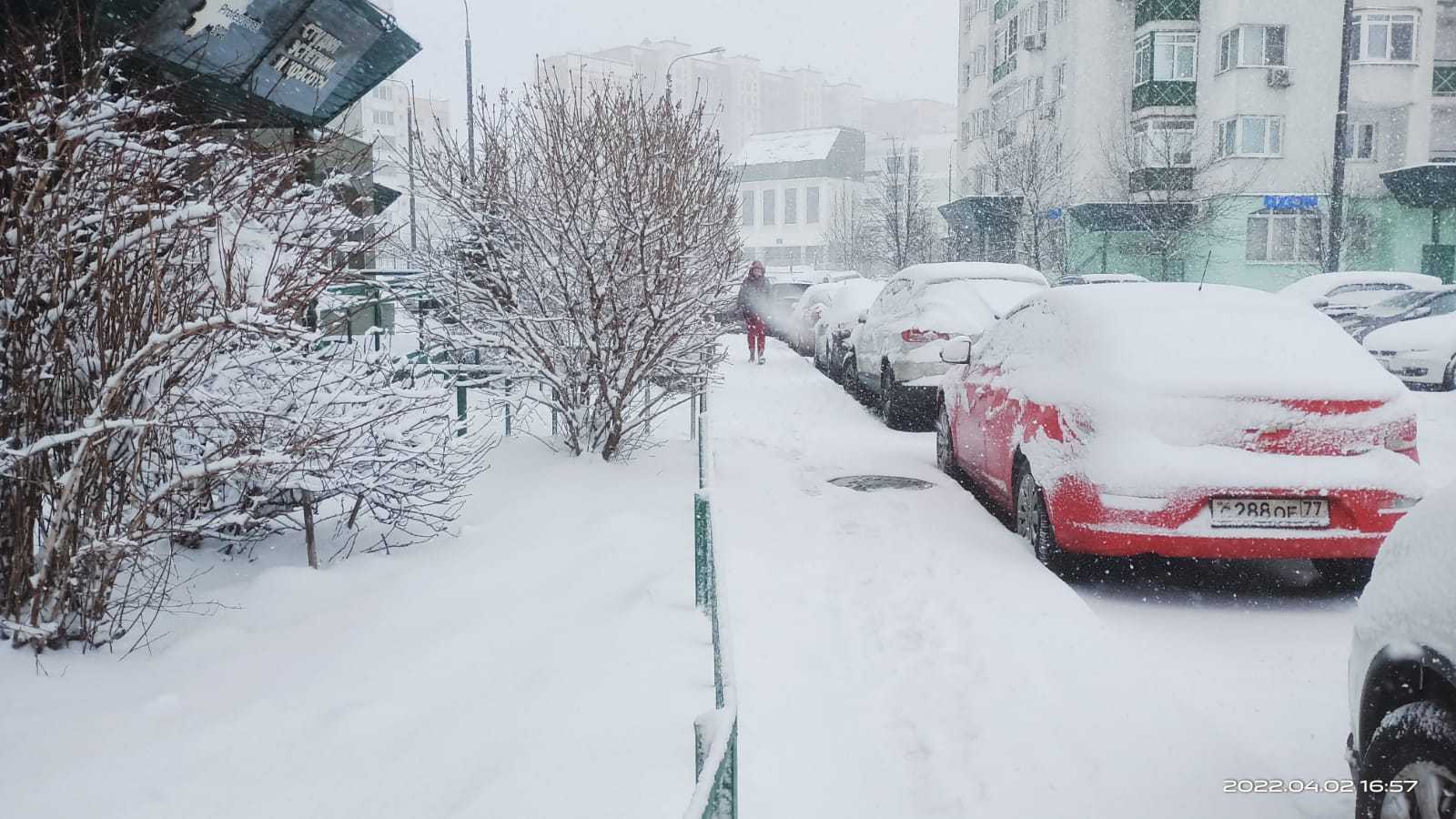 В россии выпадет снег. Снегопад в Москве. Снег в апреле. Снег в апреле в Москве. Снежный ураган.