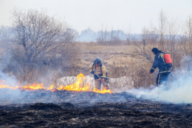 Пожары в курганской области сегодня карта