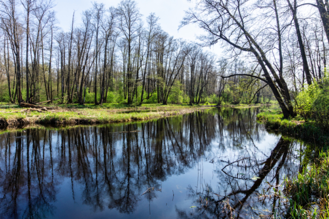 Природа воронежской области фото