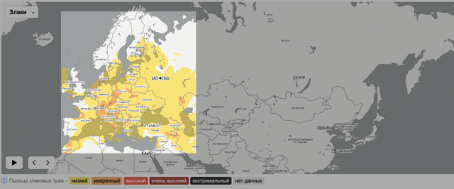Гисметео карта пыльцы москва