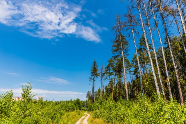 https://news-ru.gismeteo.st/2022/06/shutterstock_1600900537-640x427.jpg