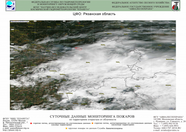 Осадки пушкино. Мониторинг лесных пожаров. Карта осадков Пушкино. Космический мониторинг лесных пожаров.
