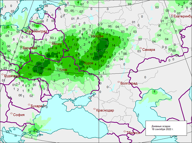 Погода в черноземье. Карта осадков Курск.