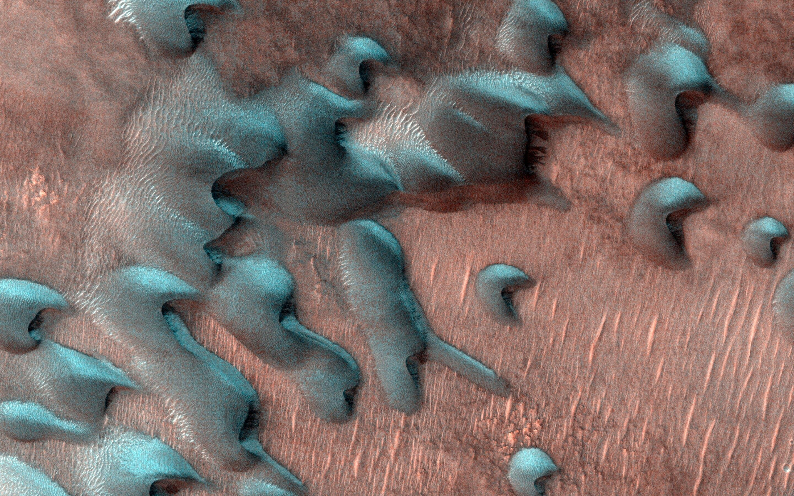 What does winter look like on Mars?