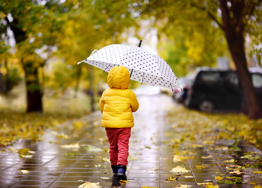 It often rains in autumn. It often rains in autumn
