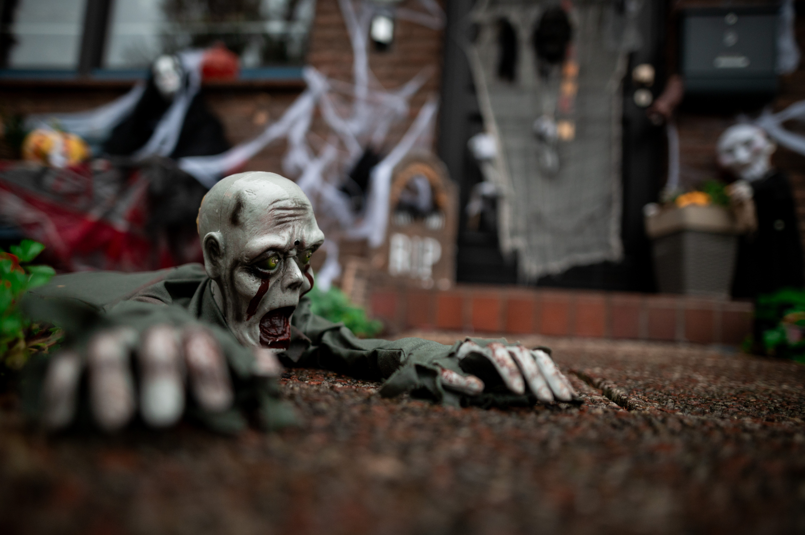 Photo of GISMETEO : « Rise of zombies » pourrait aider à prédire la propagation de futures pandémies – Science & Espace