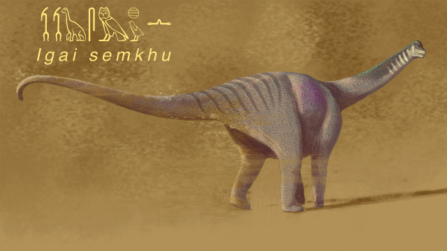 GISMETEO: Gli scienziati hanno chiamato Titanosaurus nell’antica lingua egiziana – Scienza e spazio