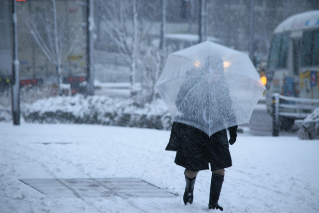 https://news-ru.gismeteo.st/2024/01/shutterstock_2411560379-640x427.jpg