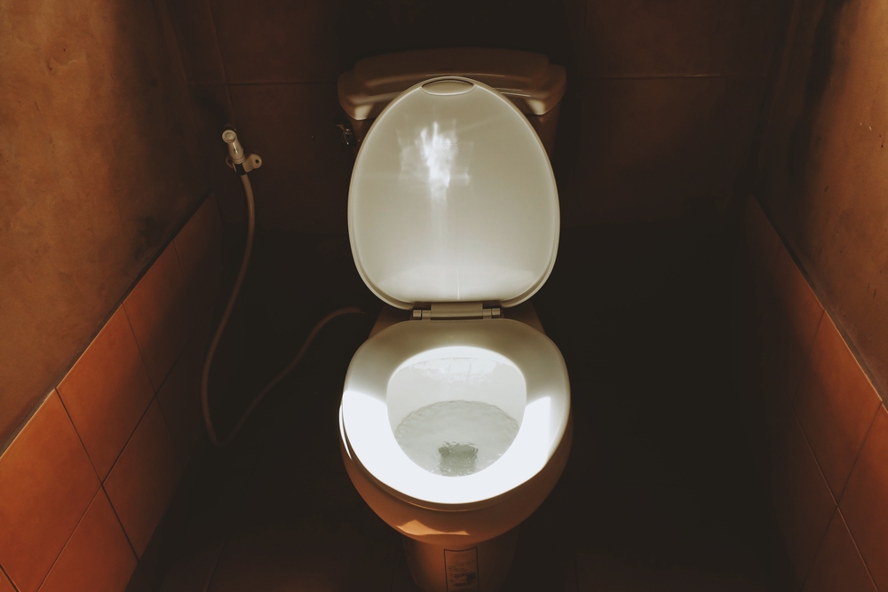 Study Reveals Alarming Germ Spread When Flushing Toilet with Lid Up: Experts Recommend Closing Lid to Reduce Contamination